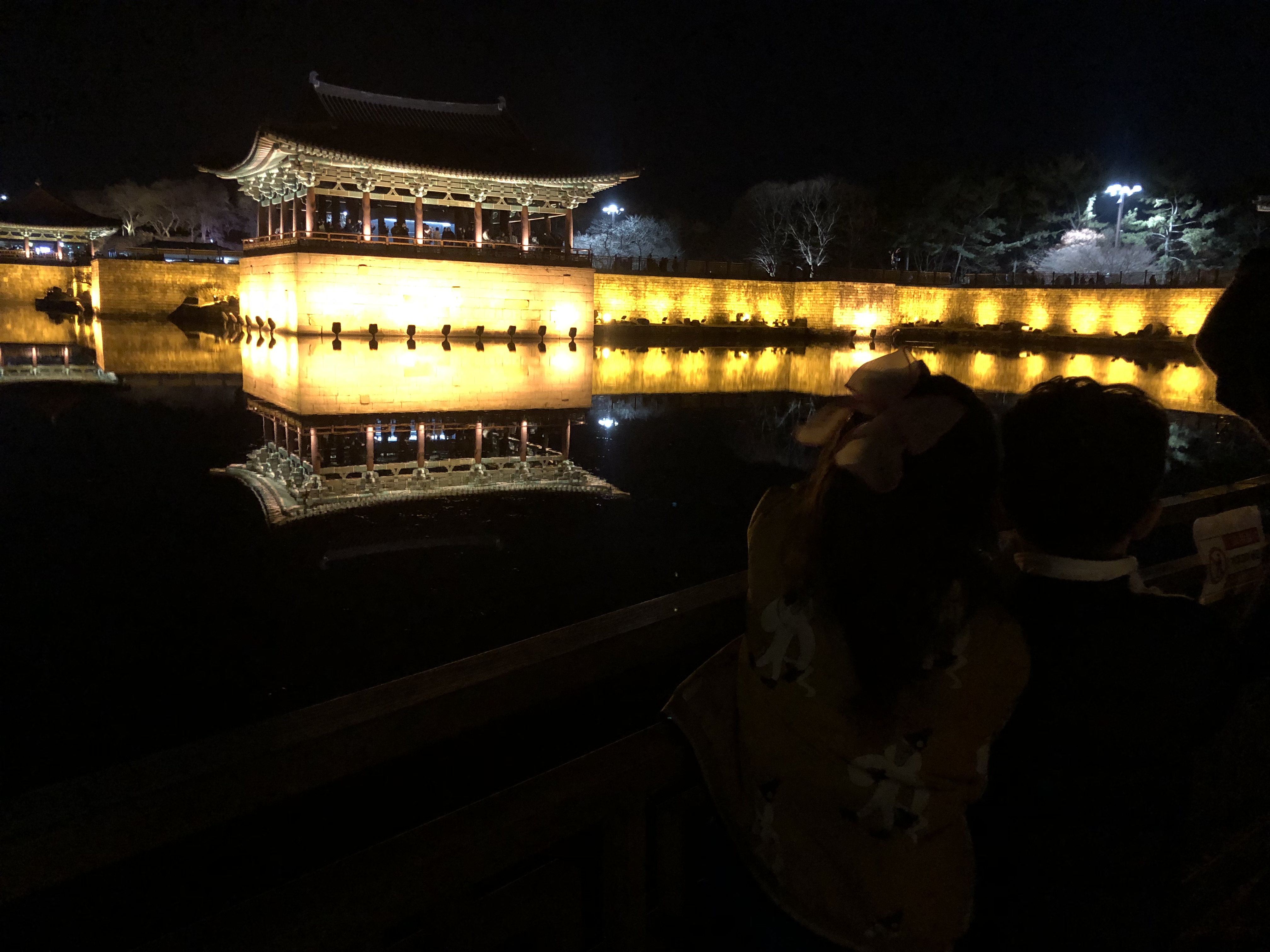IMG_0133.jpeg