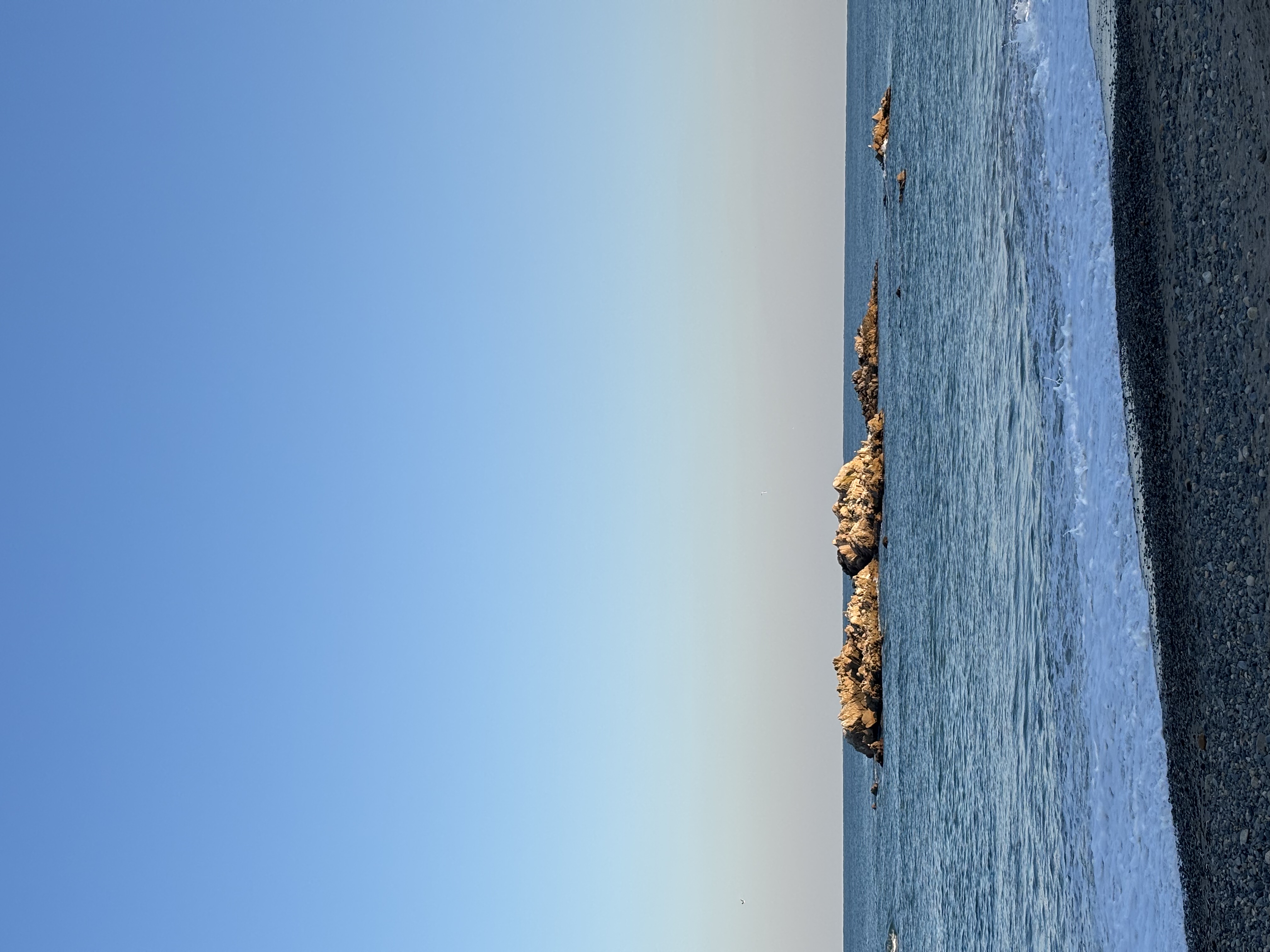 IMG_0274.jpeg