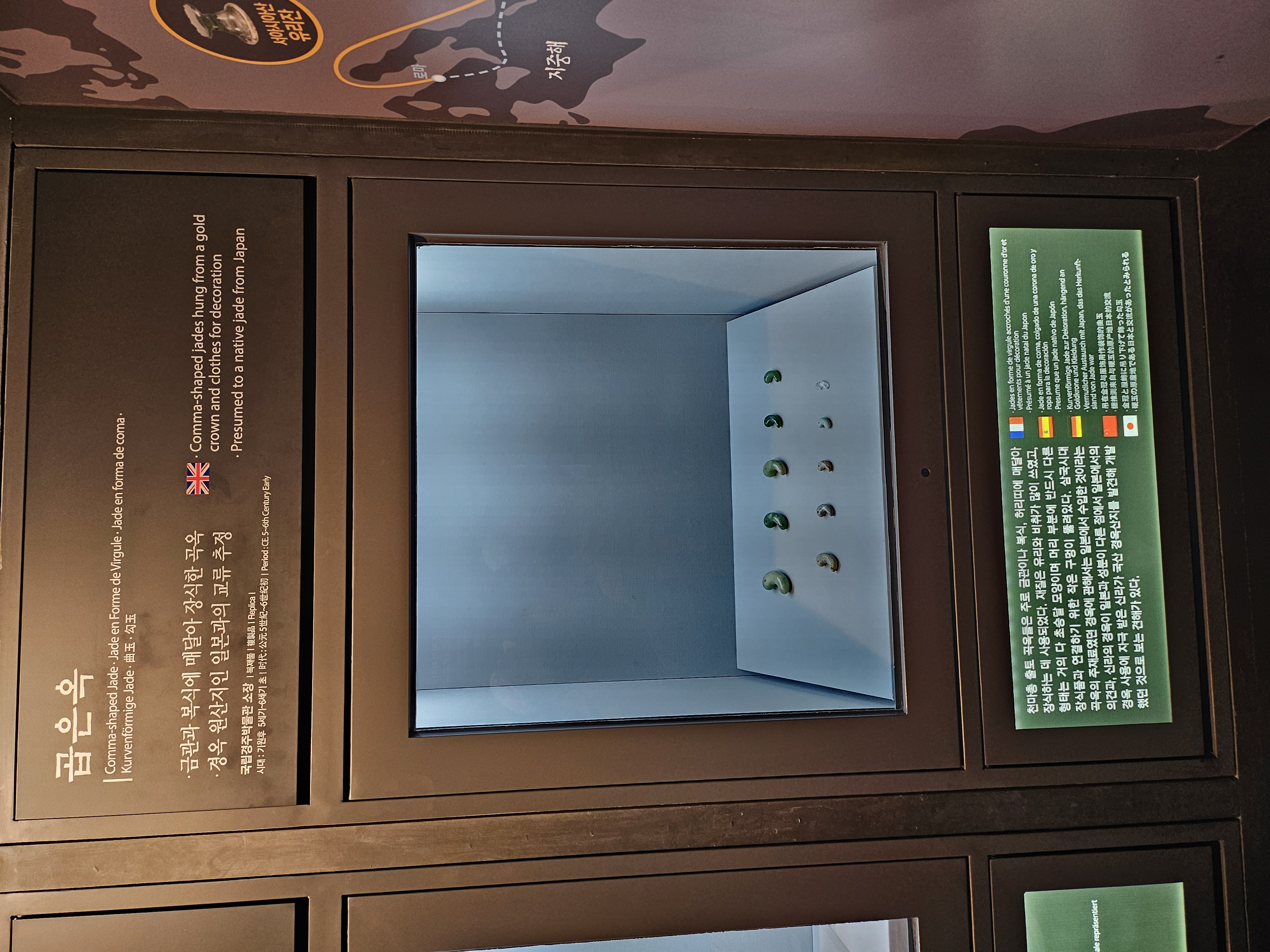 20250602_115628.jpg