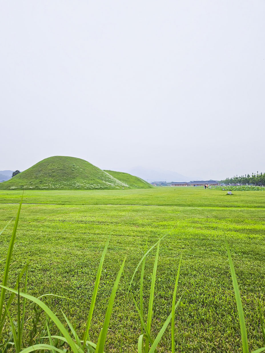 15 관광지 황남동고분군.jpg