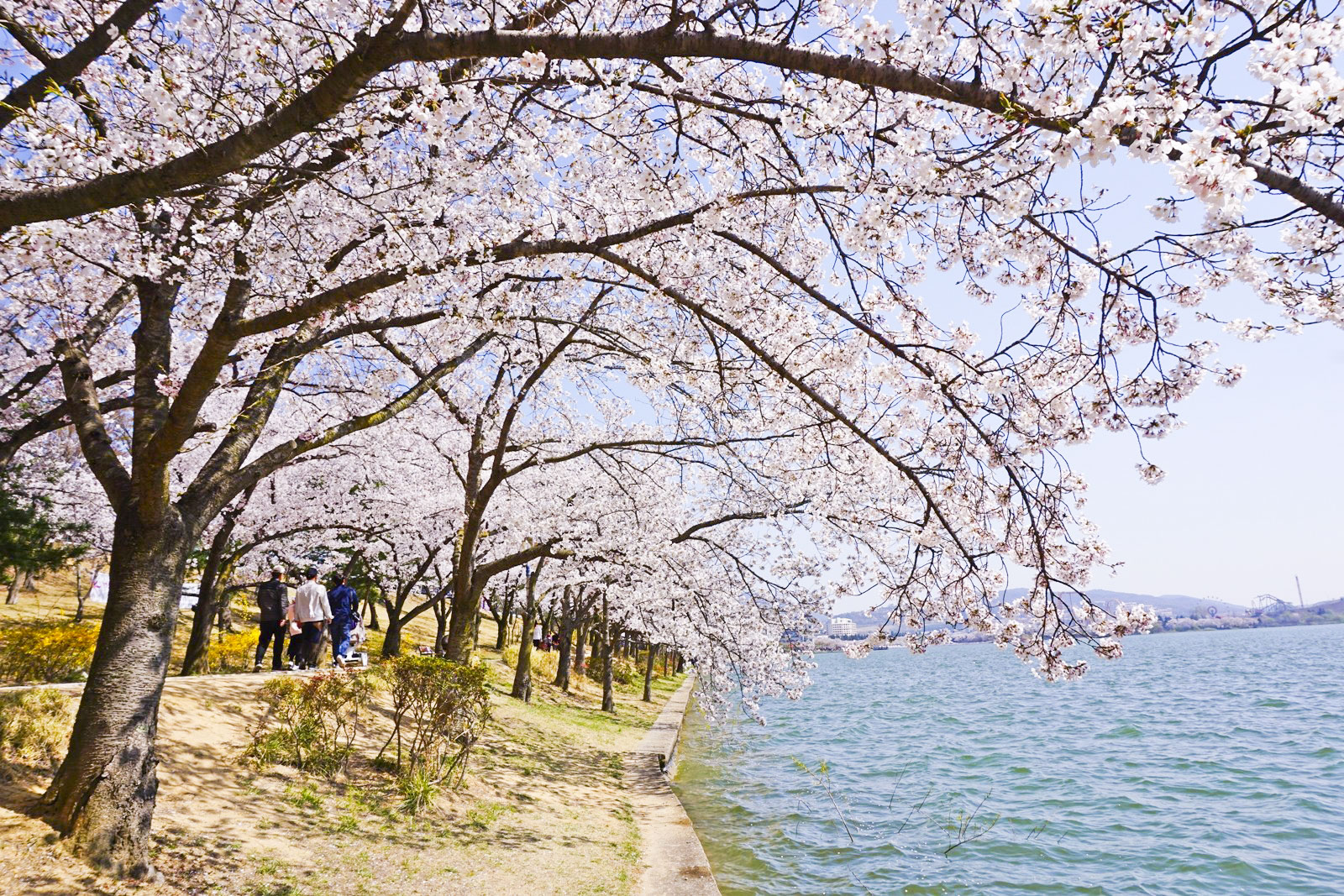 5 관광지 보문호반길_!_1.jpg