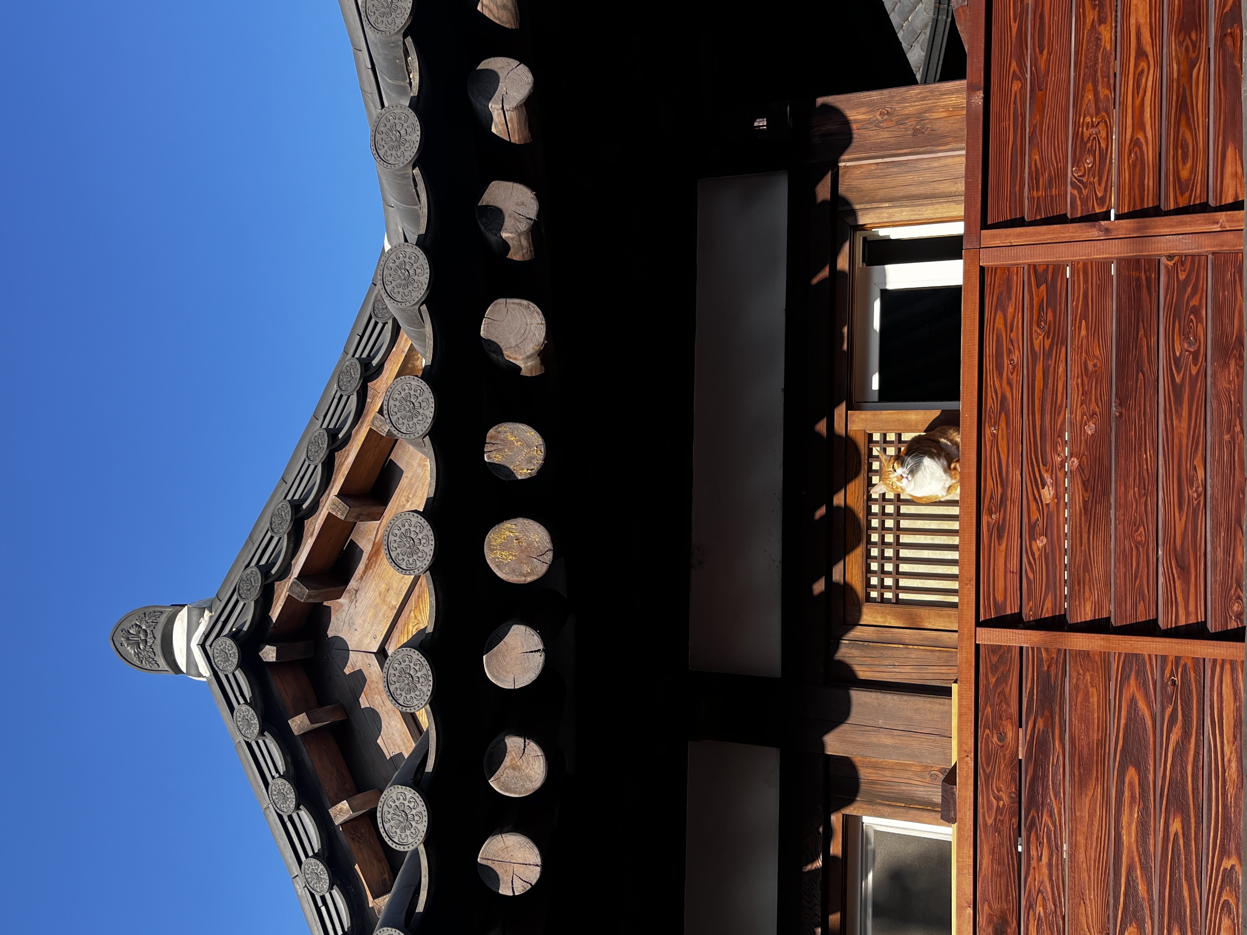 IMG_1820.jpeg