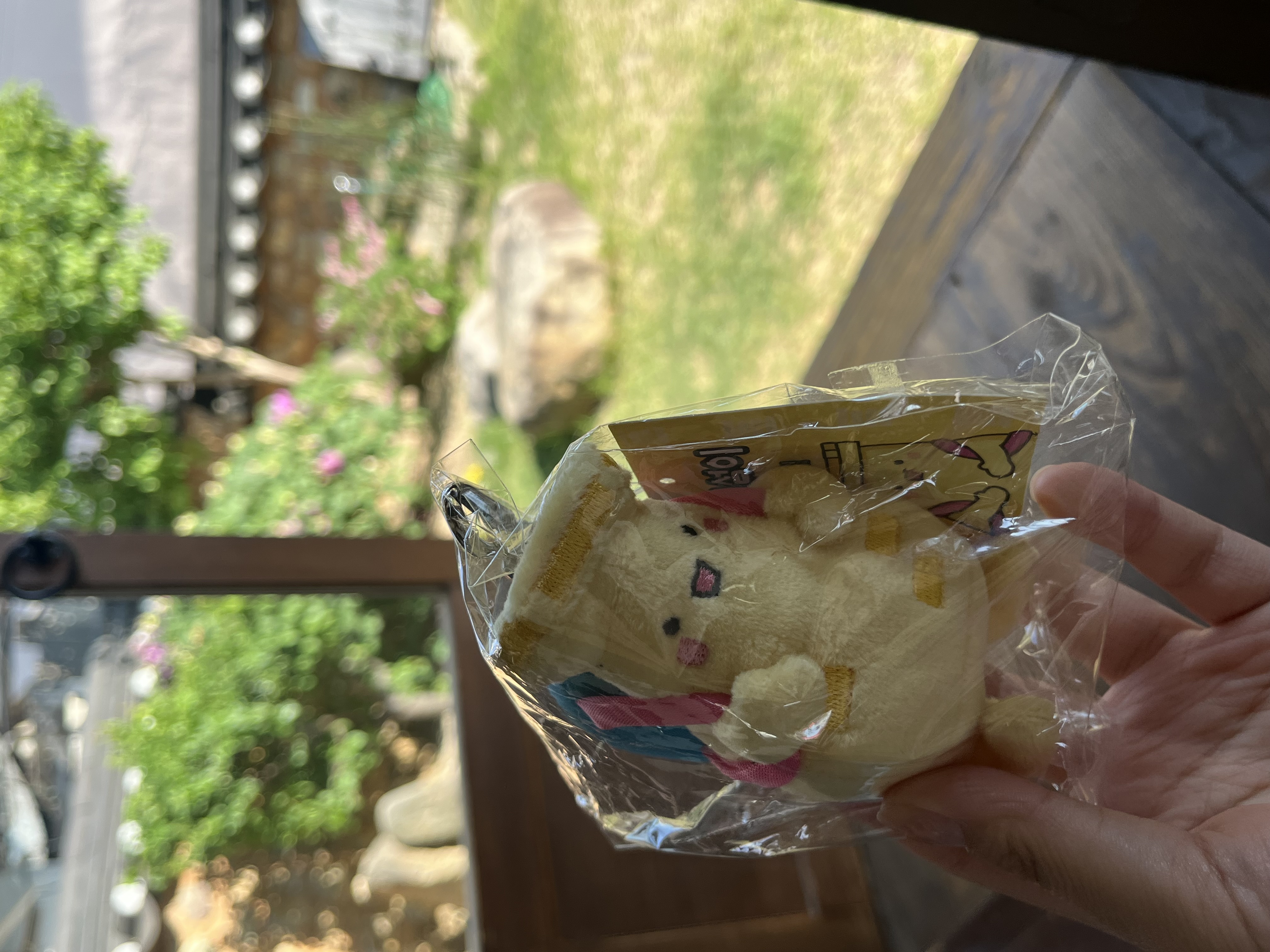 IMG_1469.jpeg