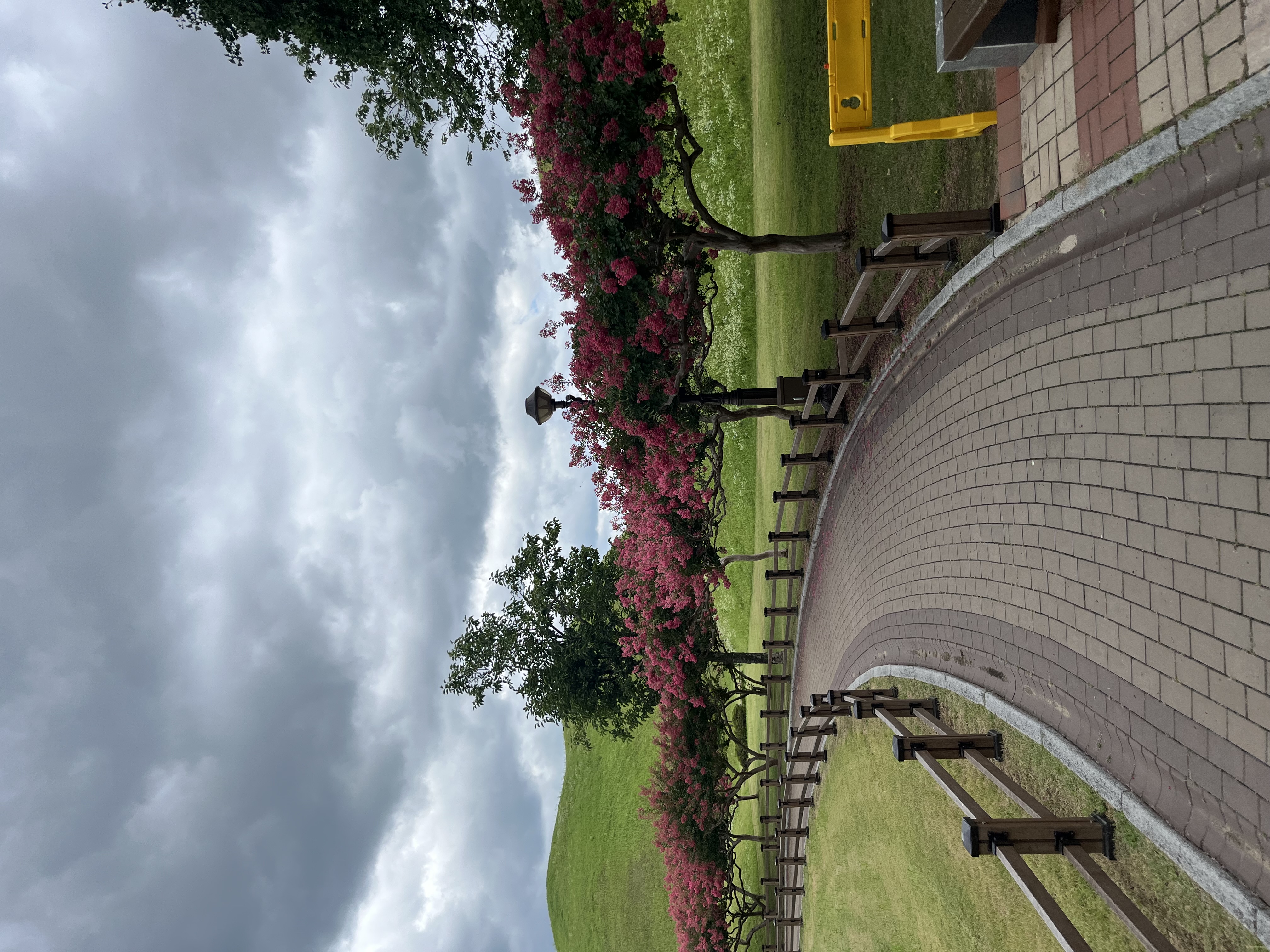 IMG_2292.jpeg