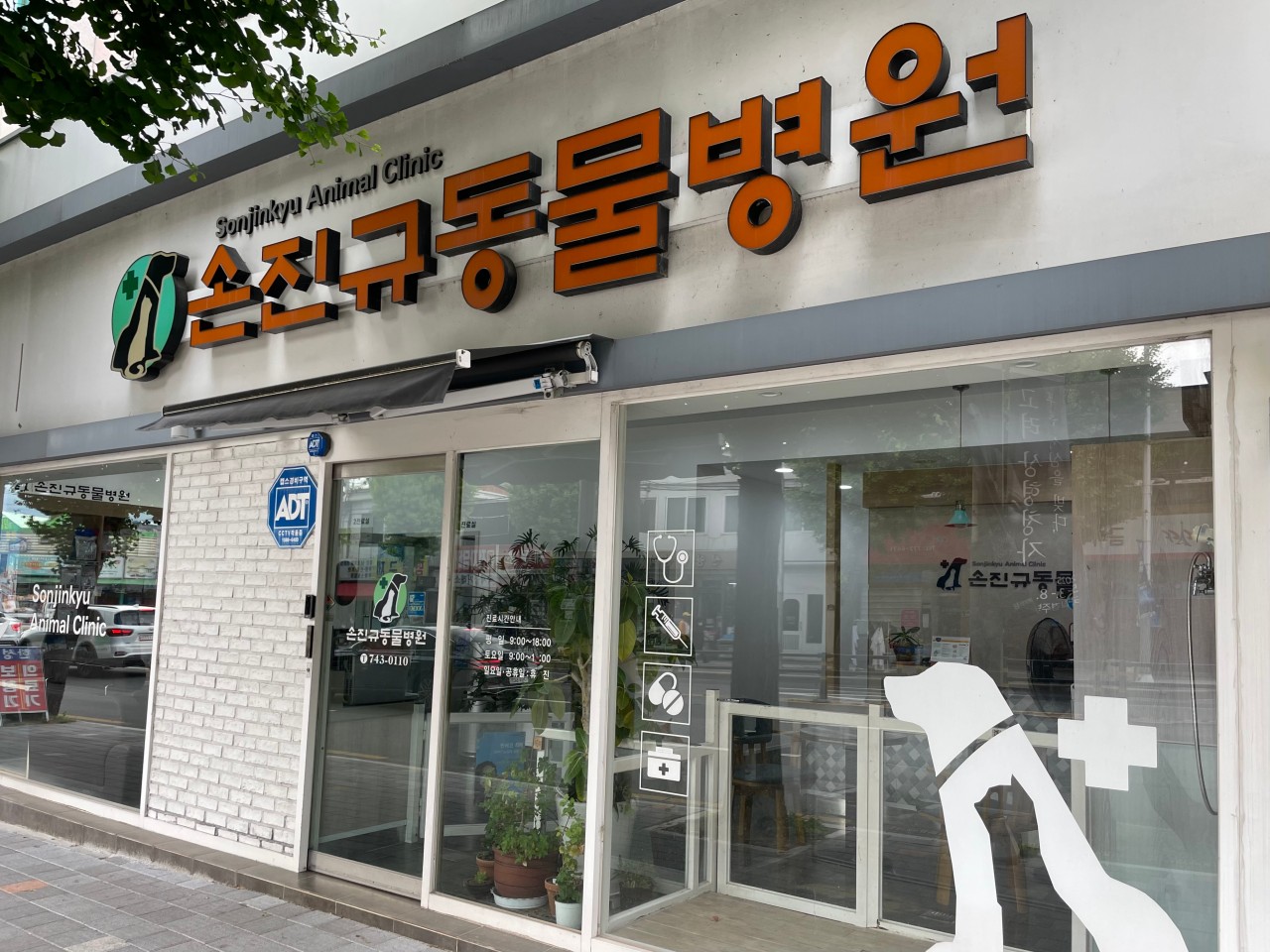 손진규동물병원