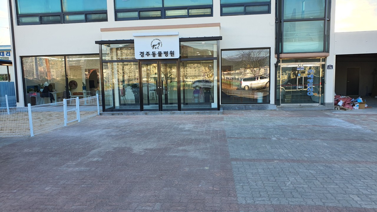 경주동물병원