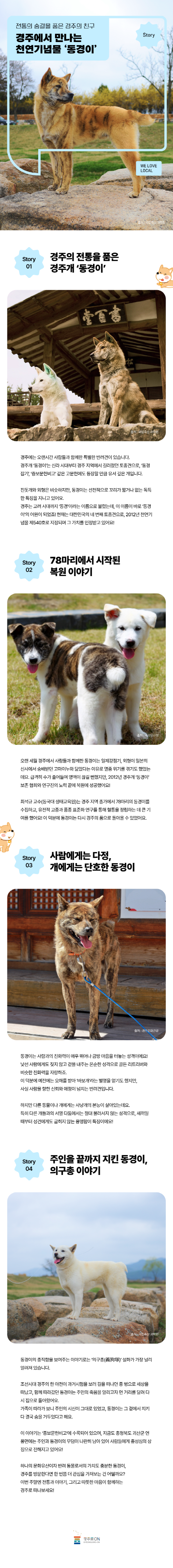 전통의 숨결을 품은 경주의 친구 경주에서 만나는 천연기념물 ‘동경이’