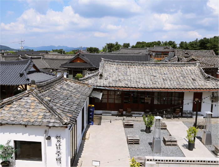 사진