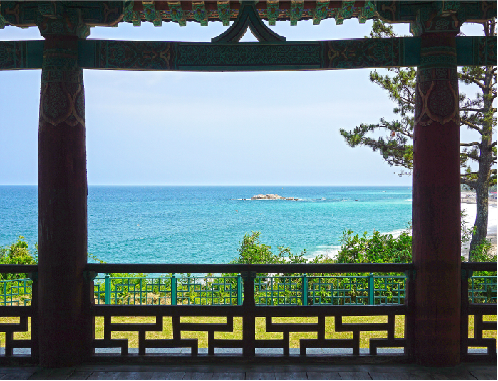 사진