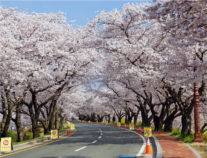 사진