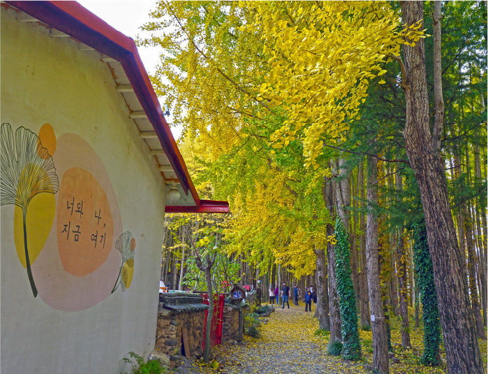 사진