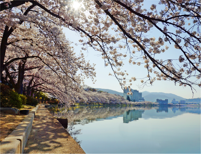 사진