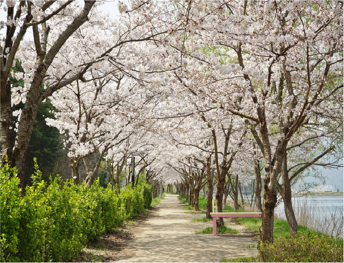 사진