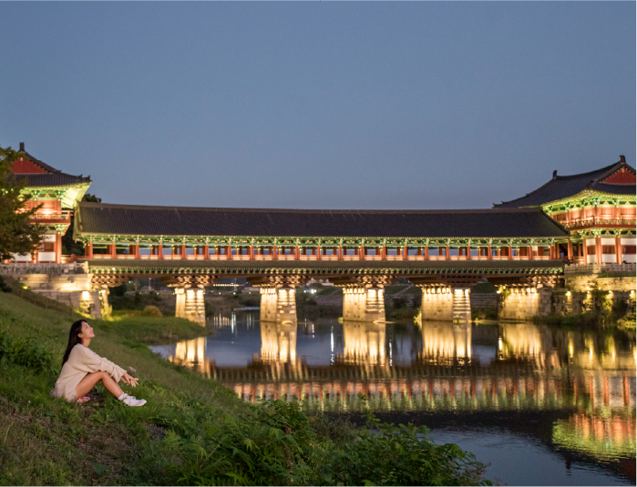 사진
