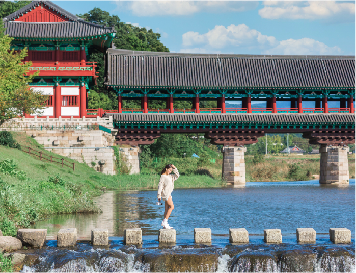 사진
