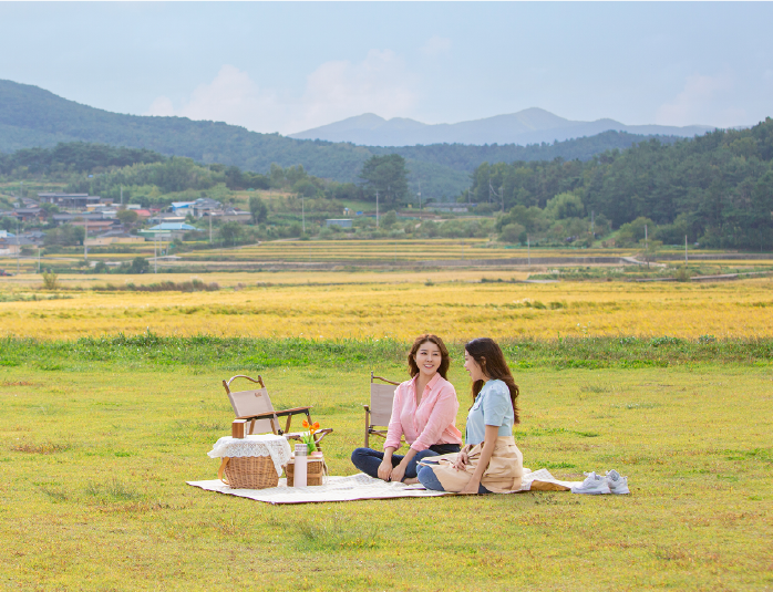 사진