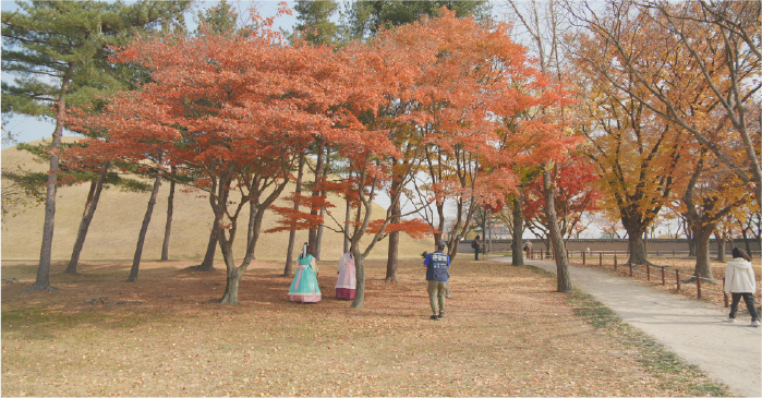 사진