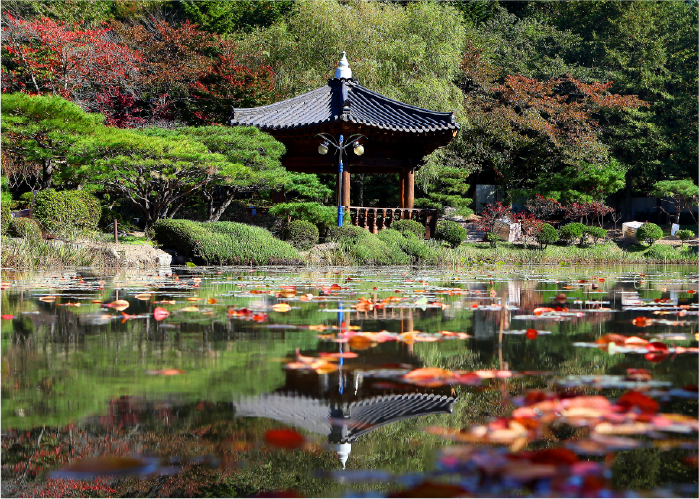 사진