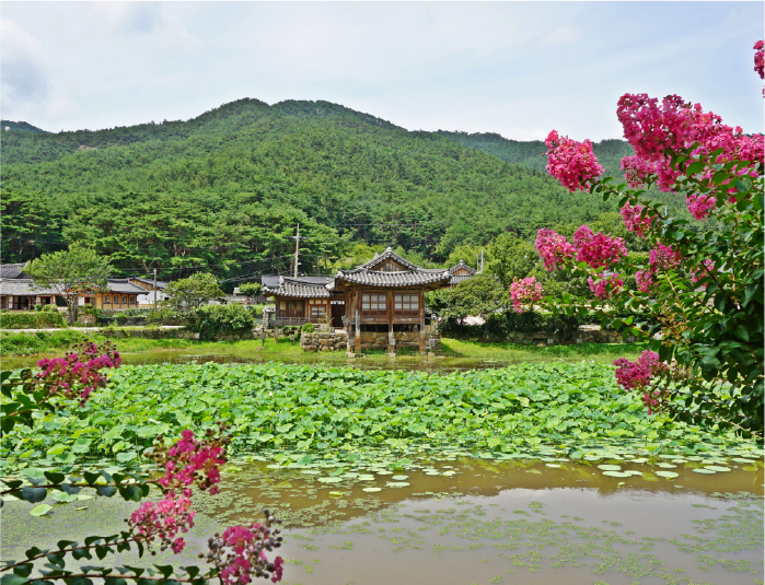 사진