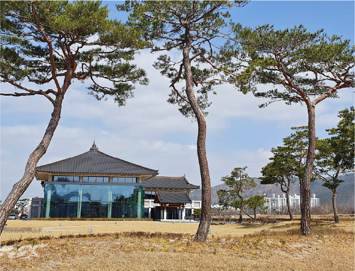 사진