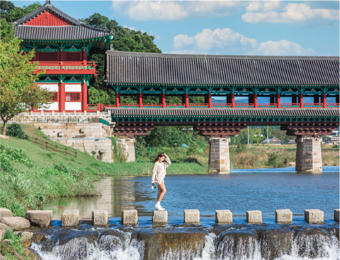 사진
