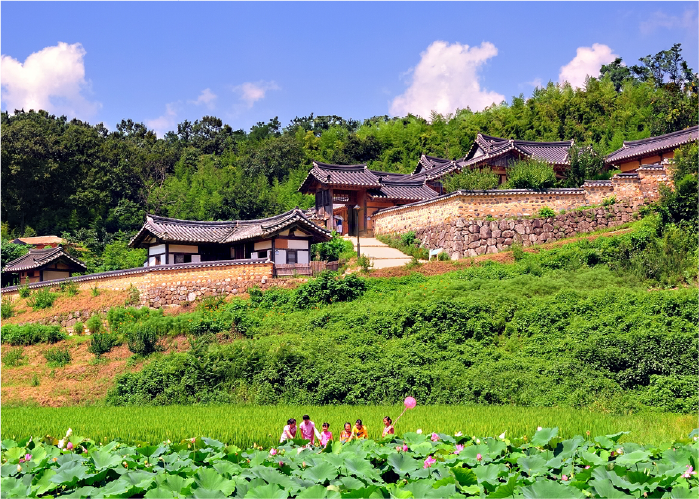 사진