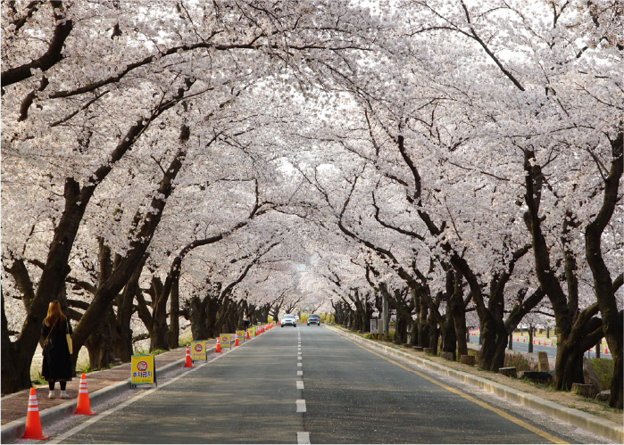사진