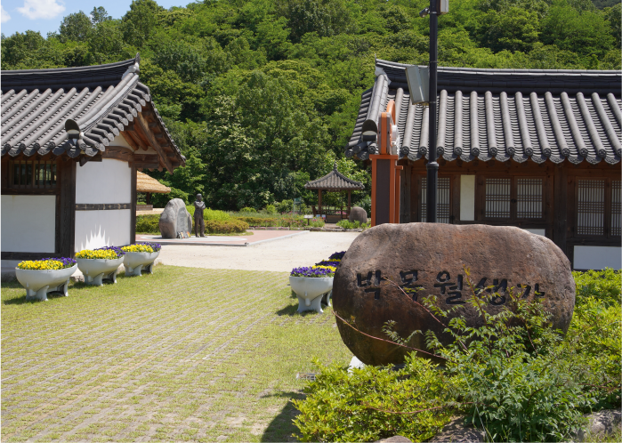 사진