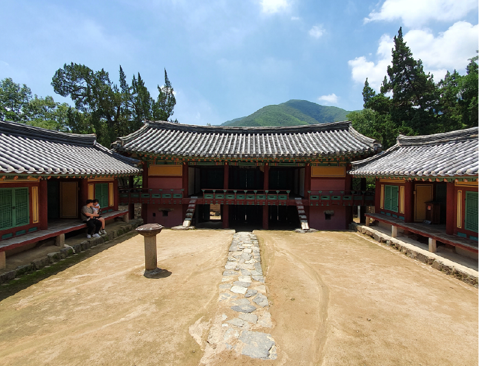 사진