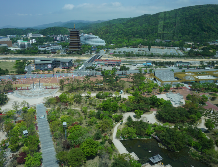 사진