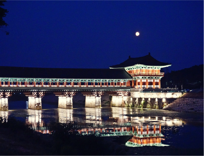 사진