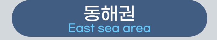 동해권단추"